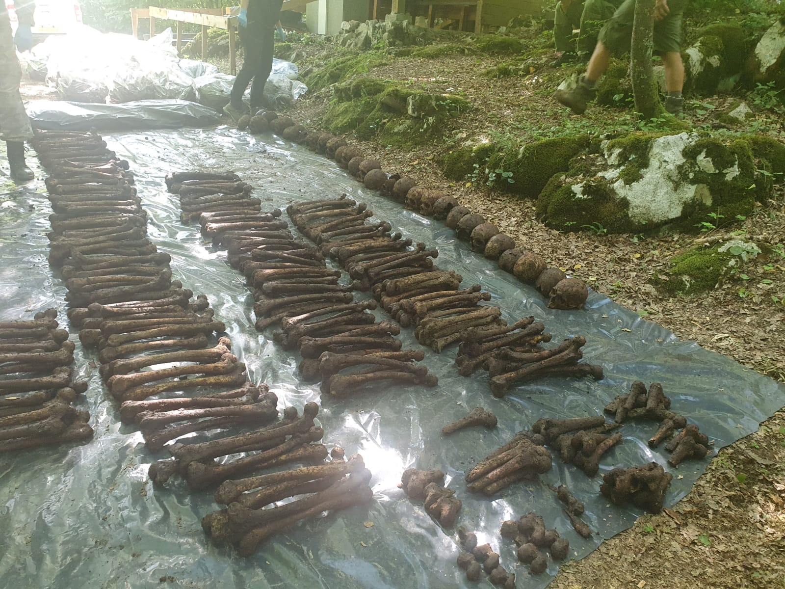 inbound1419991344687365975