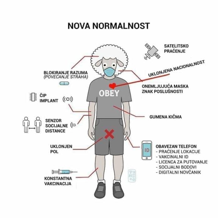 inbound1731321853234157191