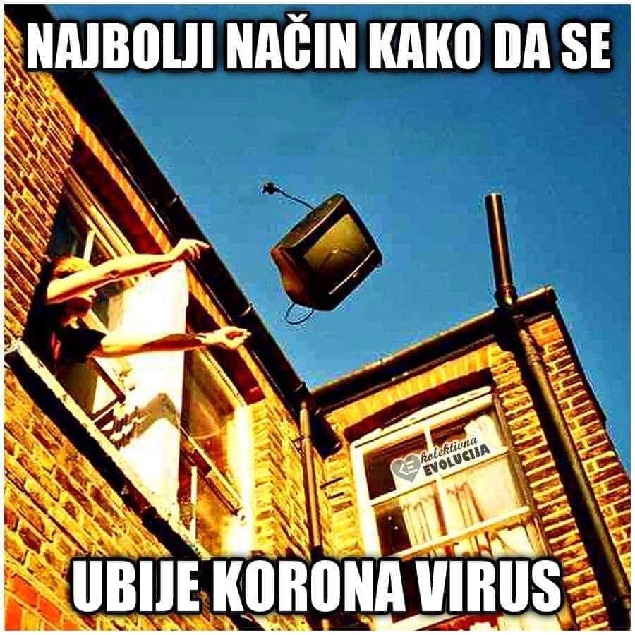 inbound6074909164561864799