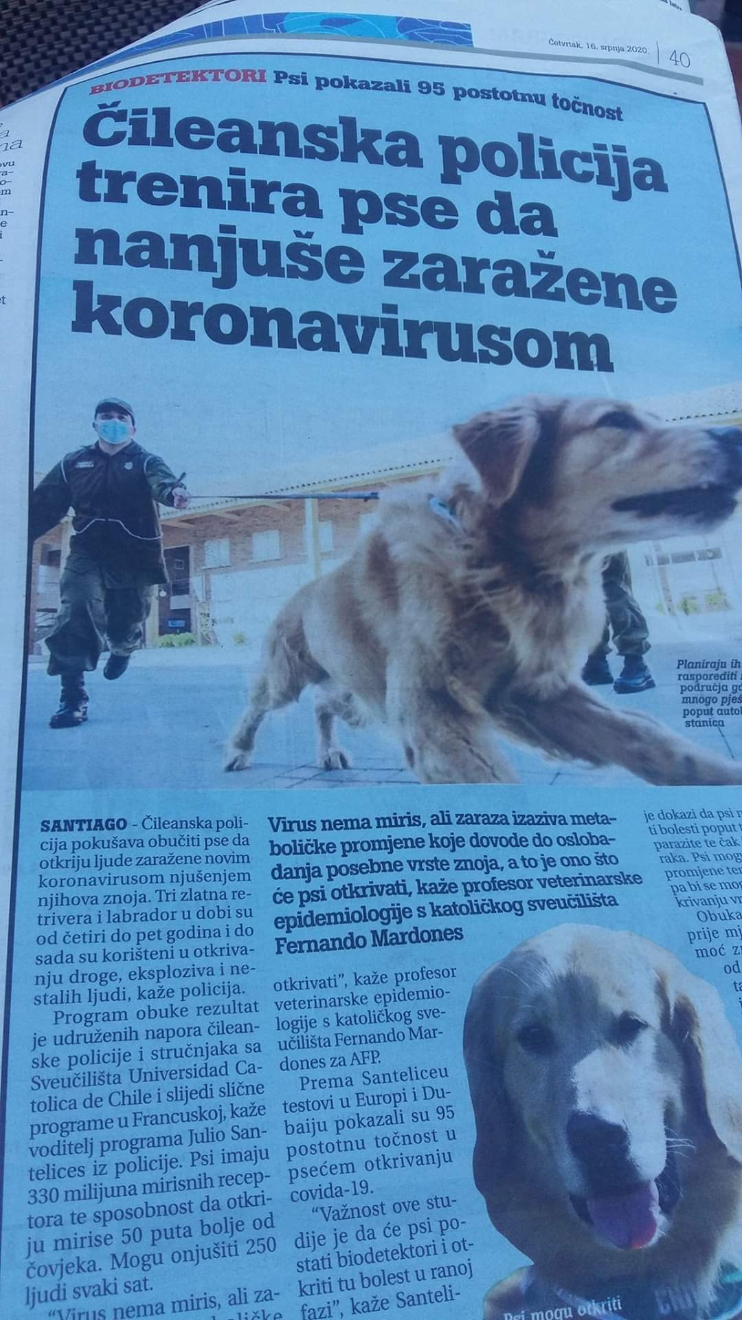 inbound6528994774324583112