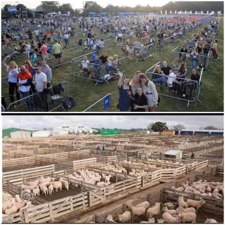 inbound4582260258320602728