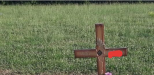 inbound8070988682032685893