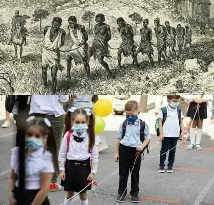 inbound2068455134866532930