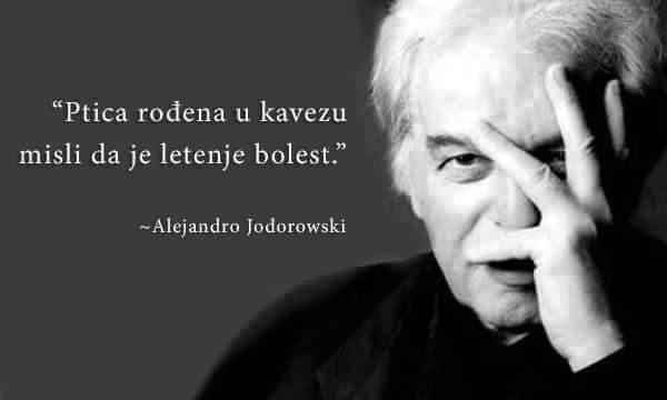 inbound2898503974194855325