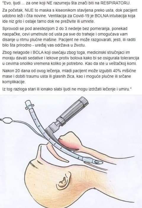 received_337570014220984