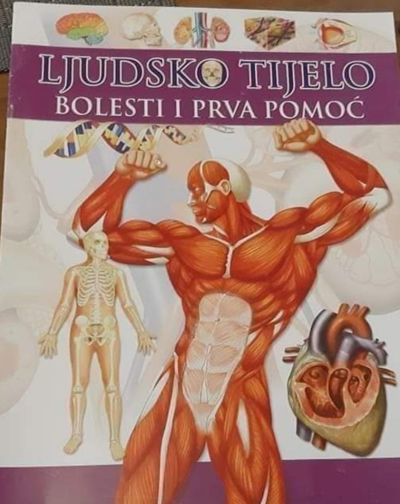 inbound4459076145931700458