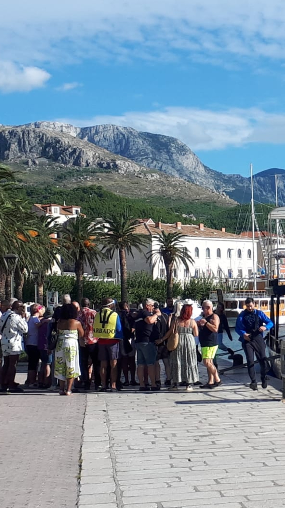 inbound6625376734528688320