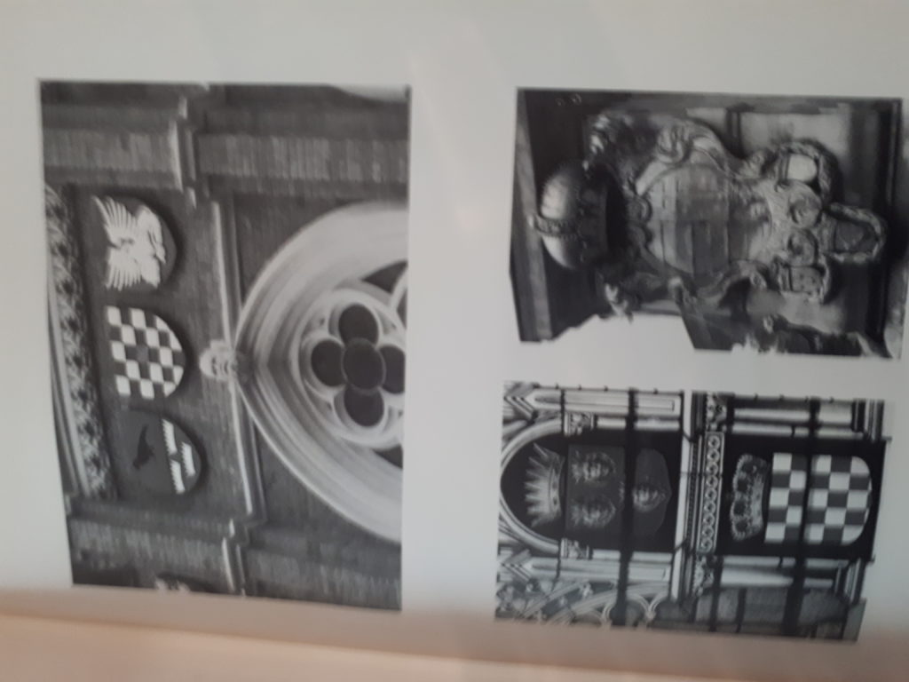 inbound5528172949117253073