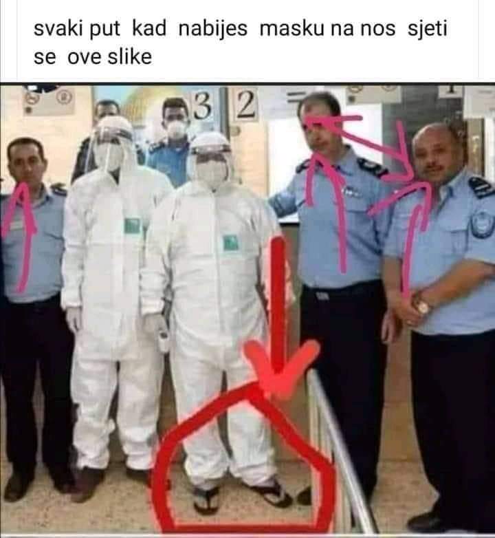 inbound725820240894702634