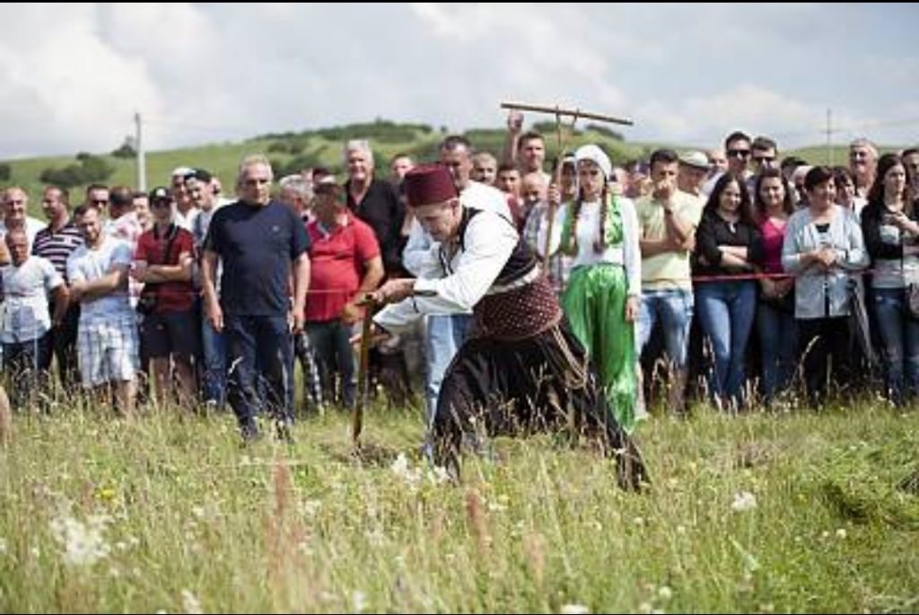 inbound1346521536728114395