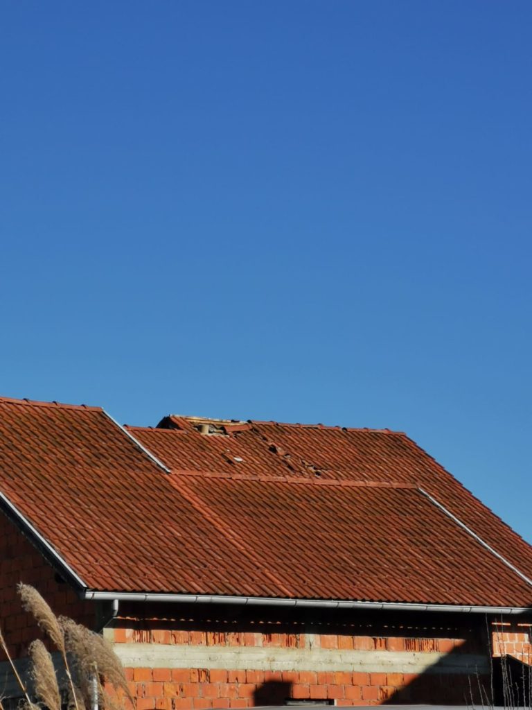 inbound2939239387256517200