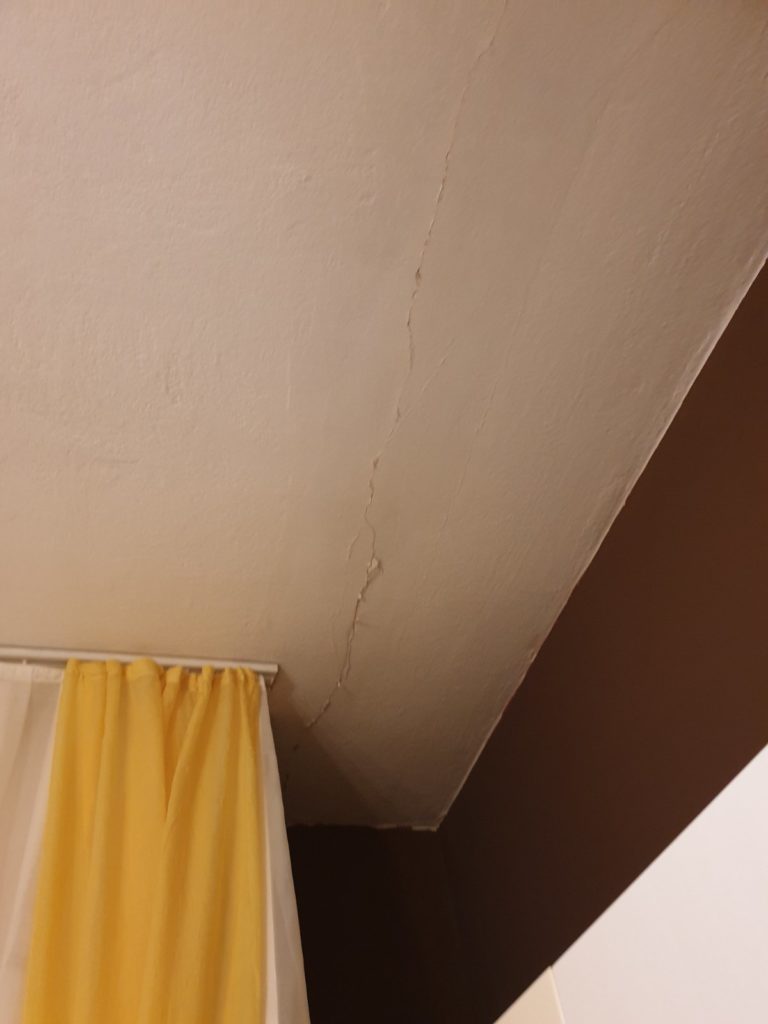 inbound4499632540783796483