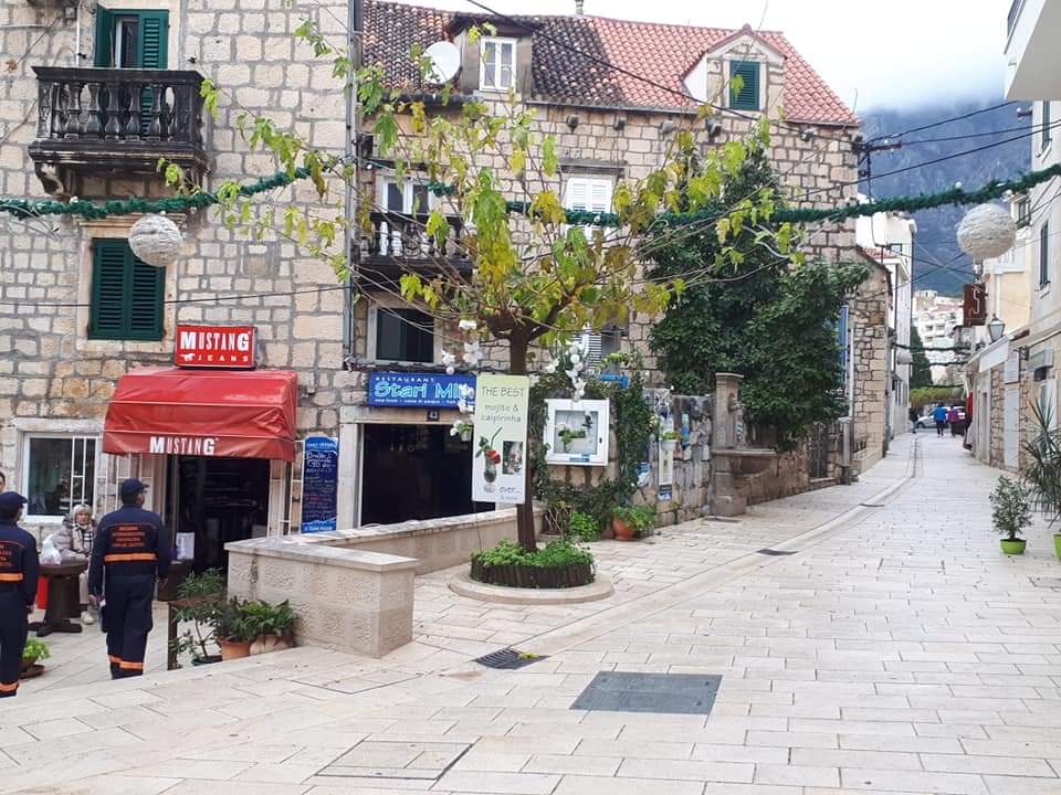 inbound4804728762574024966