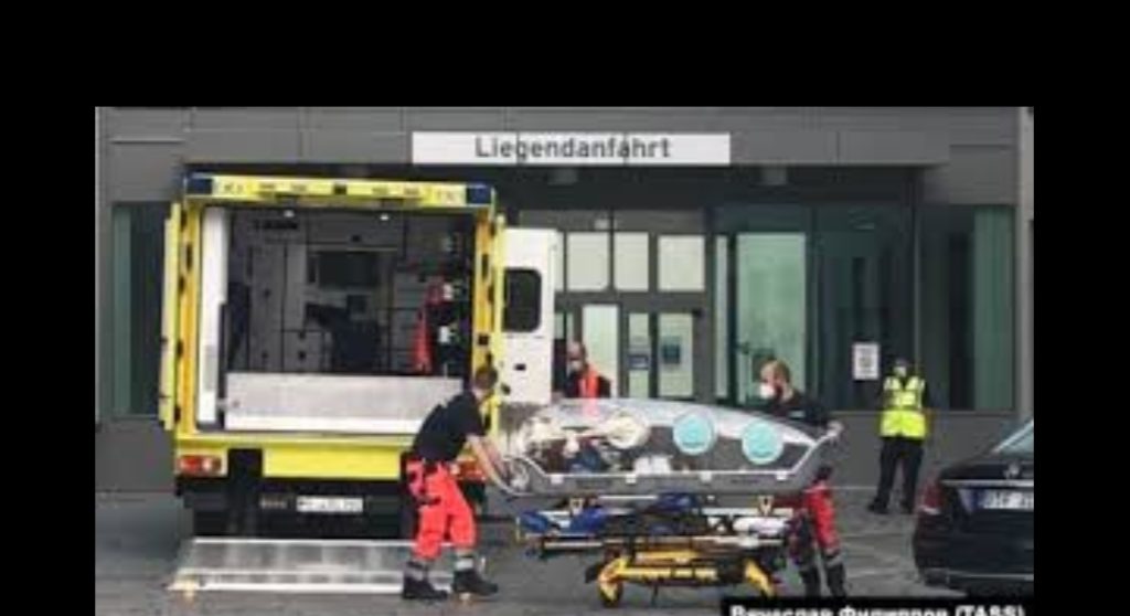 inbound7418618448735655456