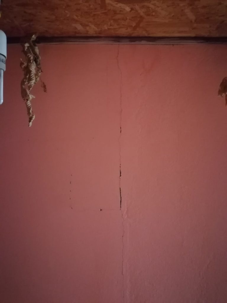 inbound8634488816210739904