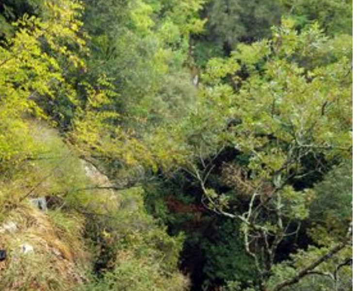 inbound2574260977170828630