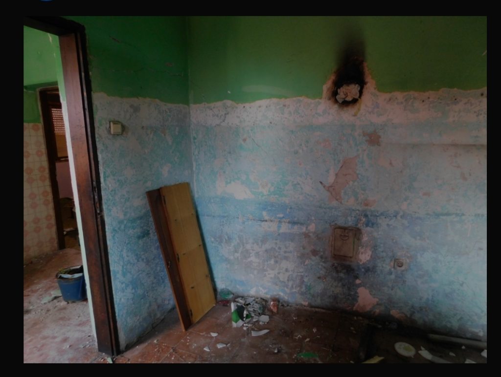 inbound3962727786433541814