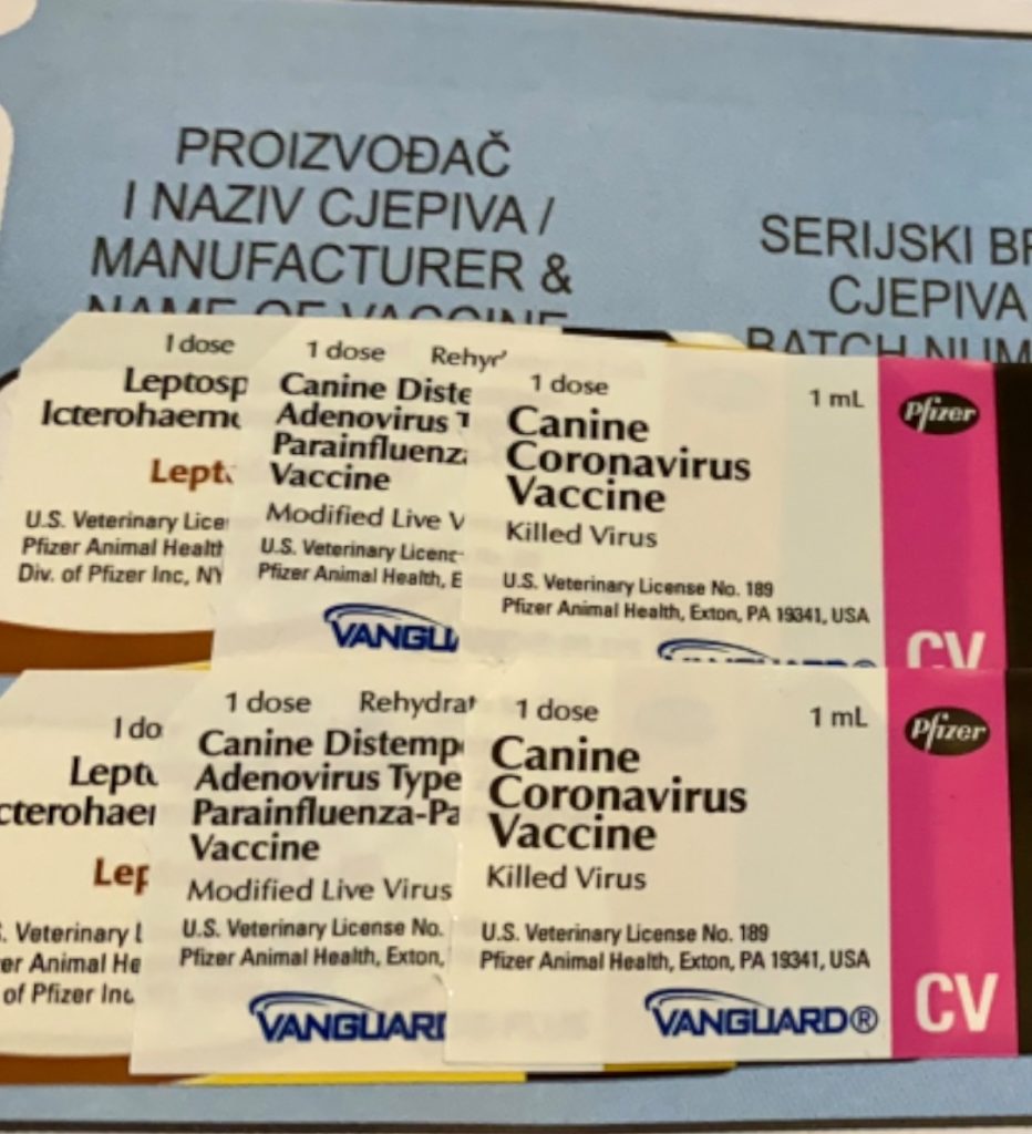 Pfizer cjepiva za pse