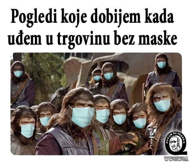 inbound5888971478137413517