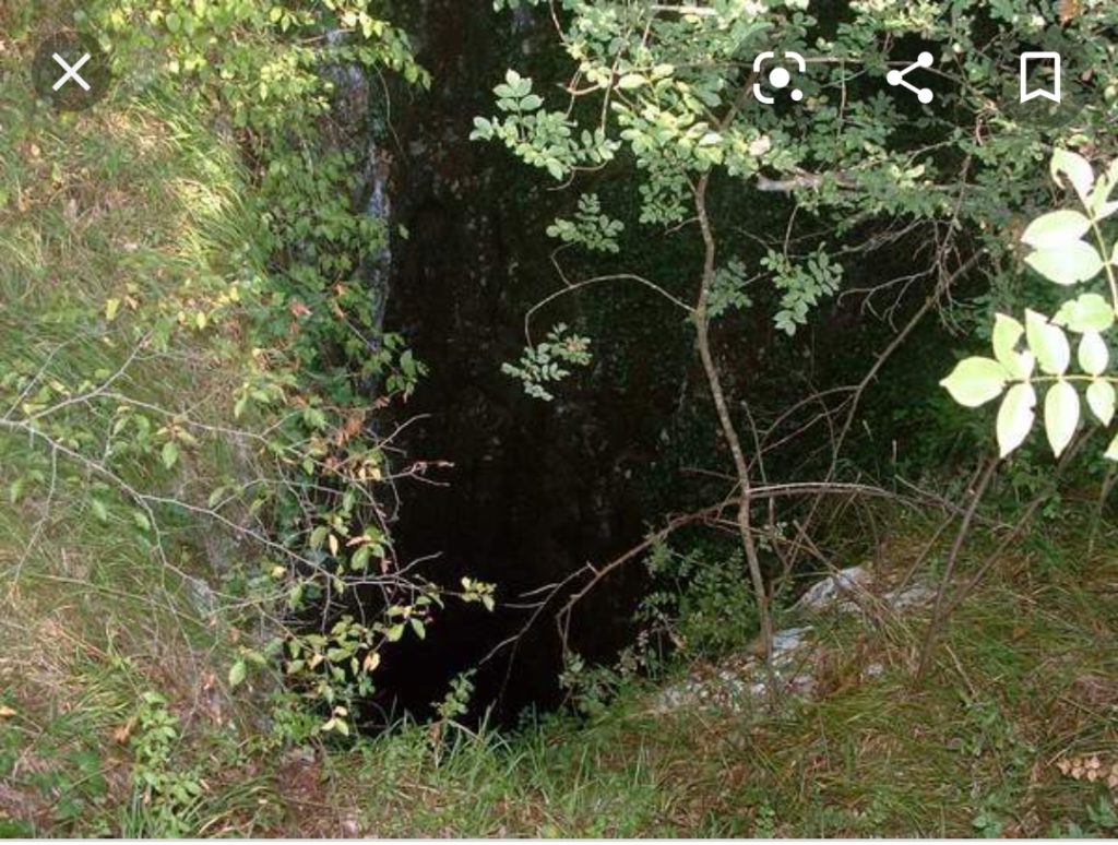 inbound6250107819747392732