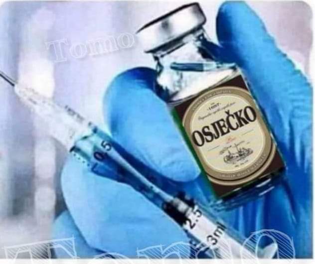 inbound6357483633953675136