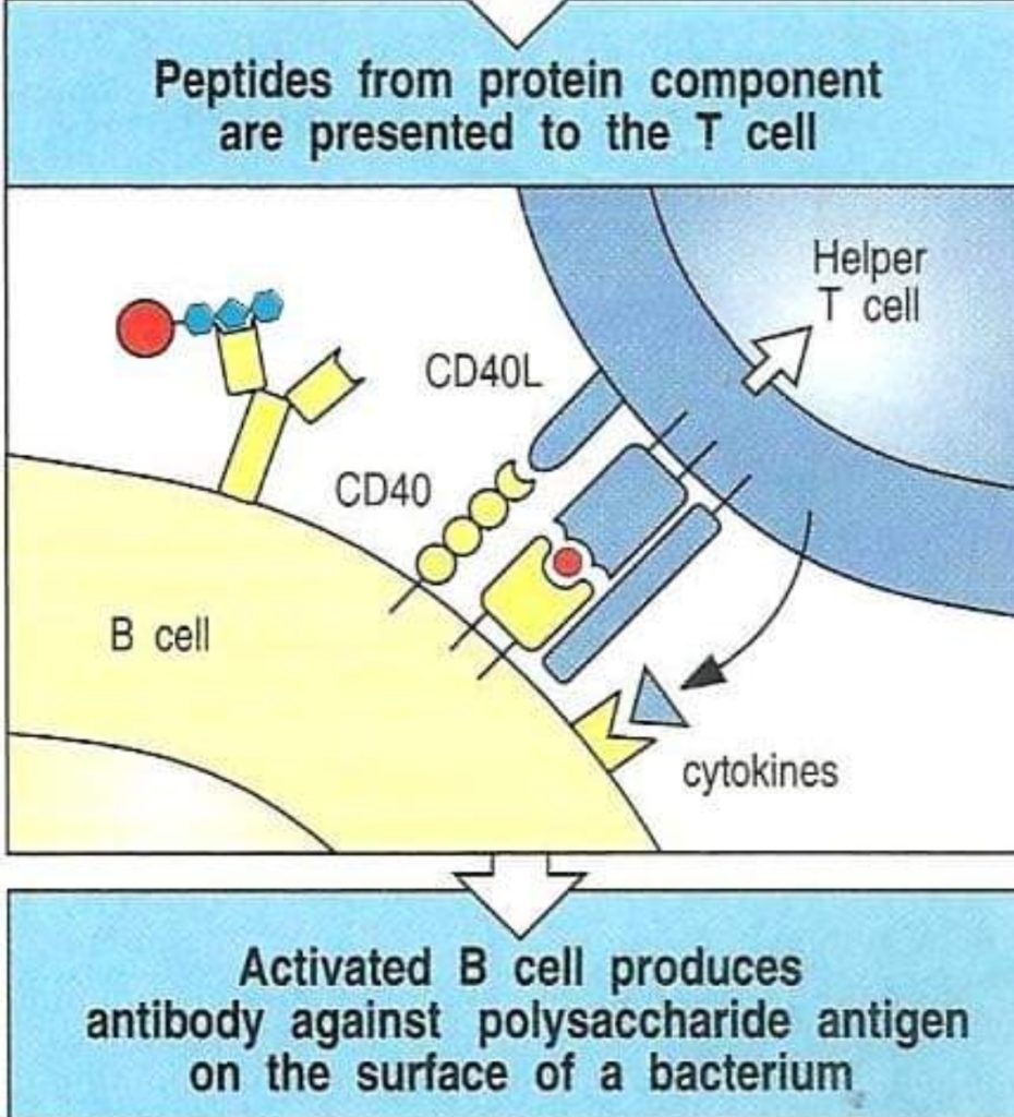 inbound2274742299186427753