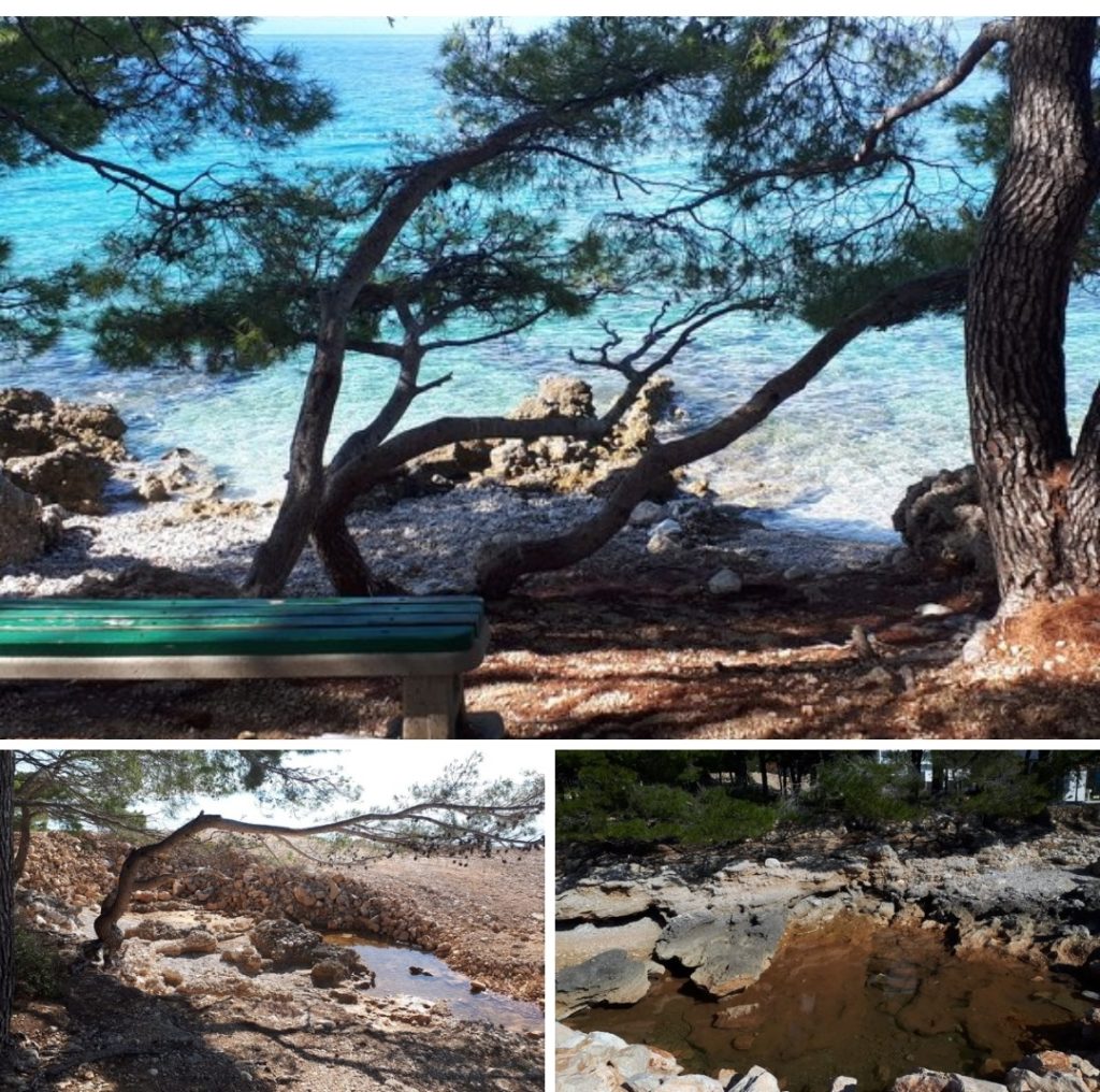 inbound4015457972816350079