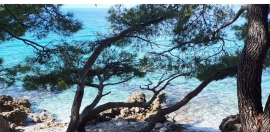 inbound4015457972816350079