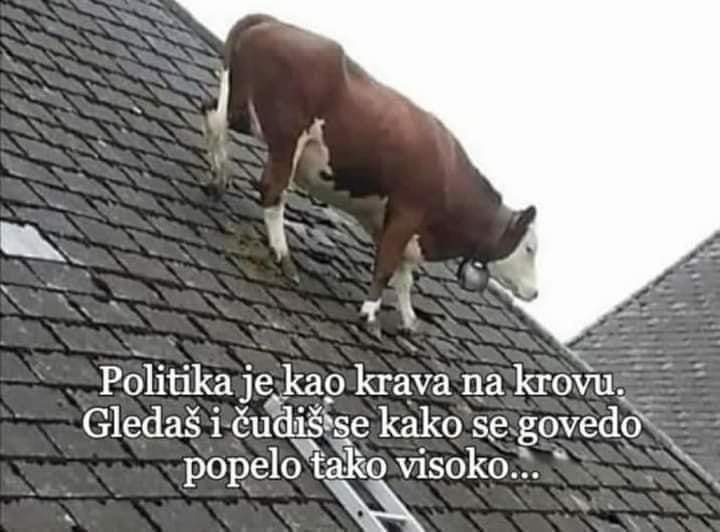 inbound5833218025464001716