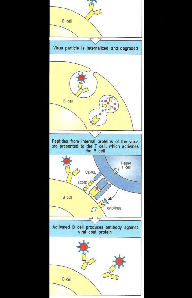 inbound7485205472060426527