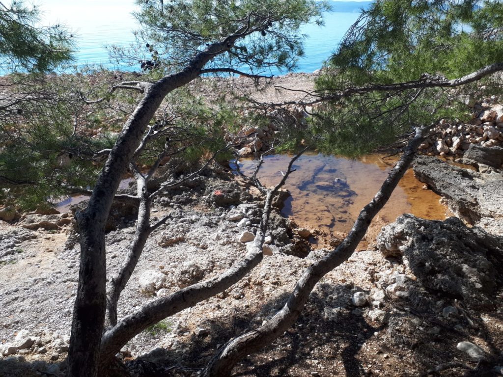 inbound934404837040282117