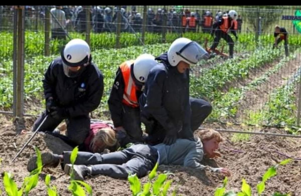 inbound1387076112472161773