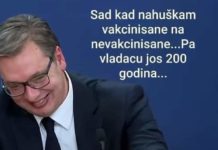 Niti korona u Srbiji ne može pokrenuti narod na ulice koliko može projekt Velike Srbije