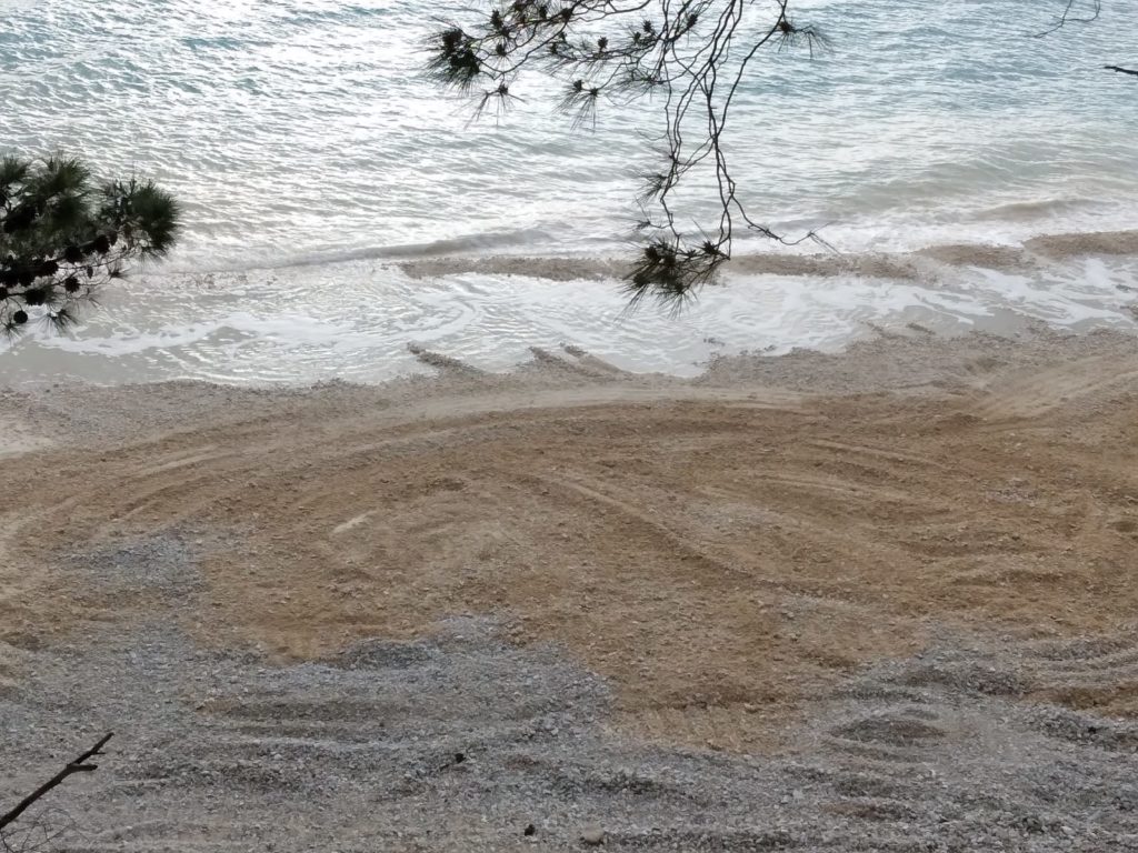 inbound3337955593588076958