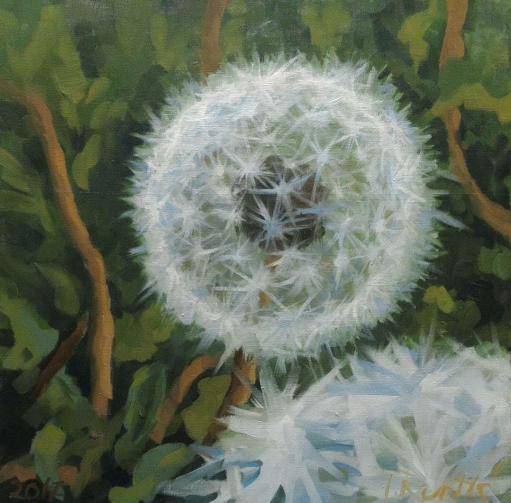 inbound336915822240122079