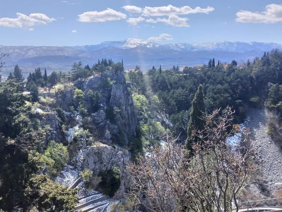 inbound3468854678532849068