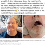 inbound3755290386497124164