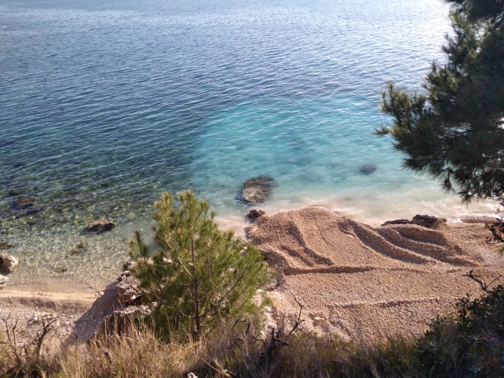 inbound5385016012854196532