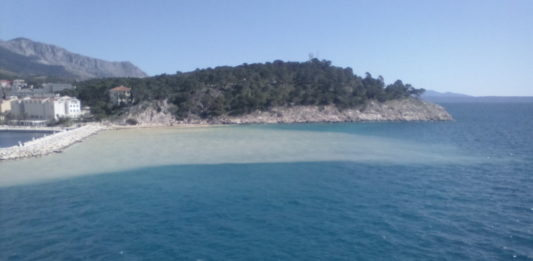 inbound5389884825627180572