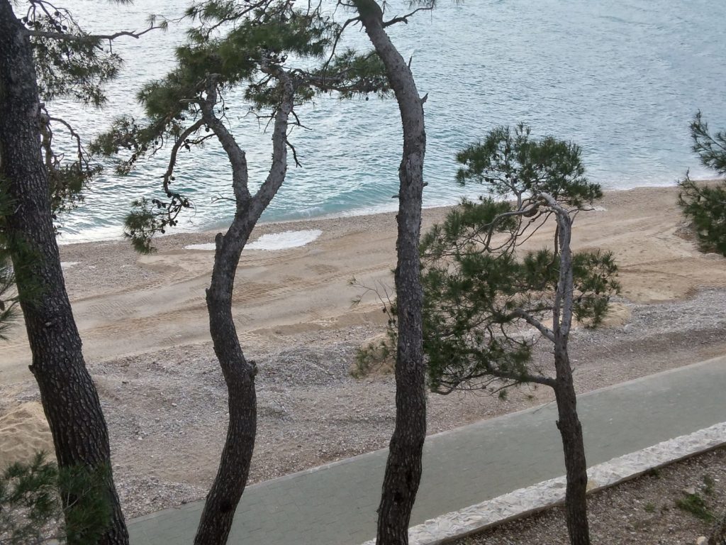 inbound55192128916449913