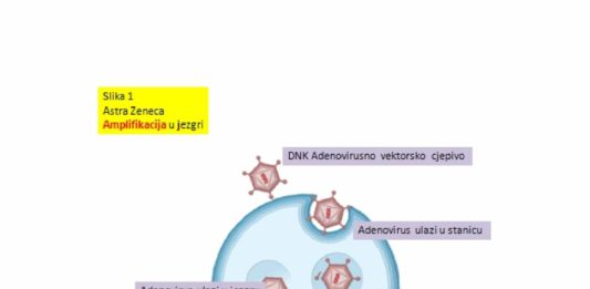 inbound5613704019141503259