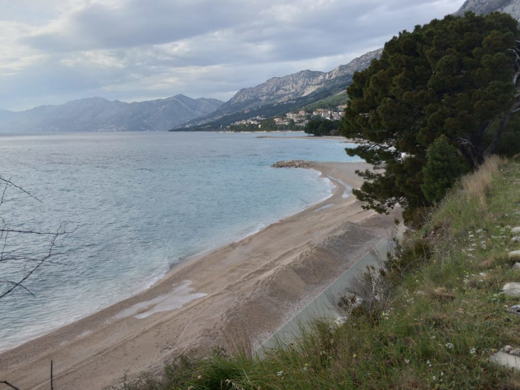 inbound6514916205208492308