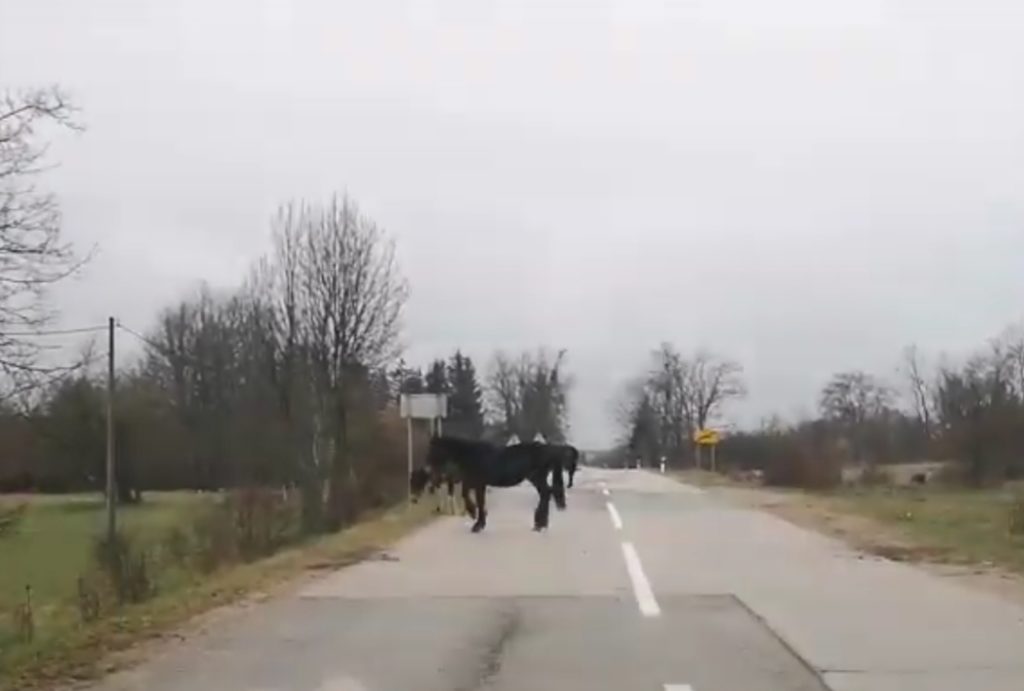 inbound7601183478344695721