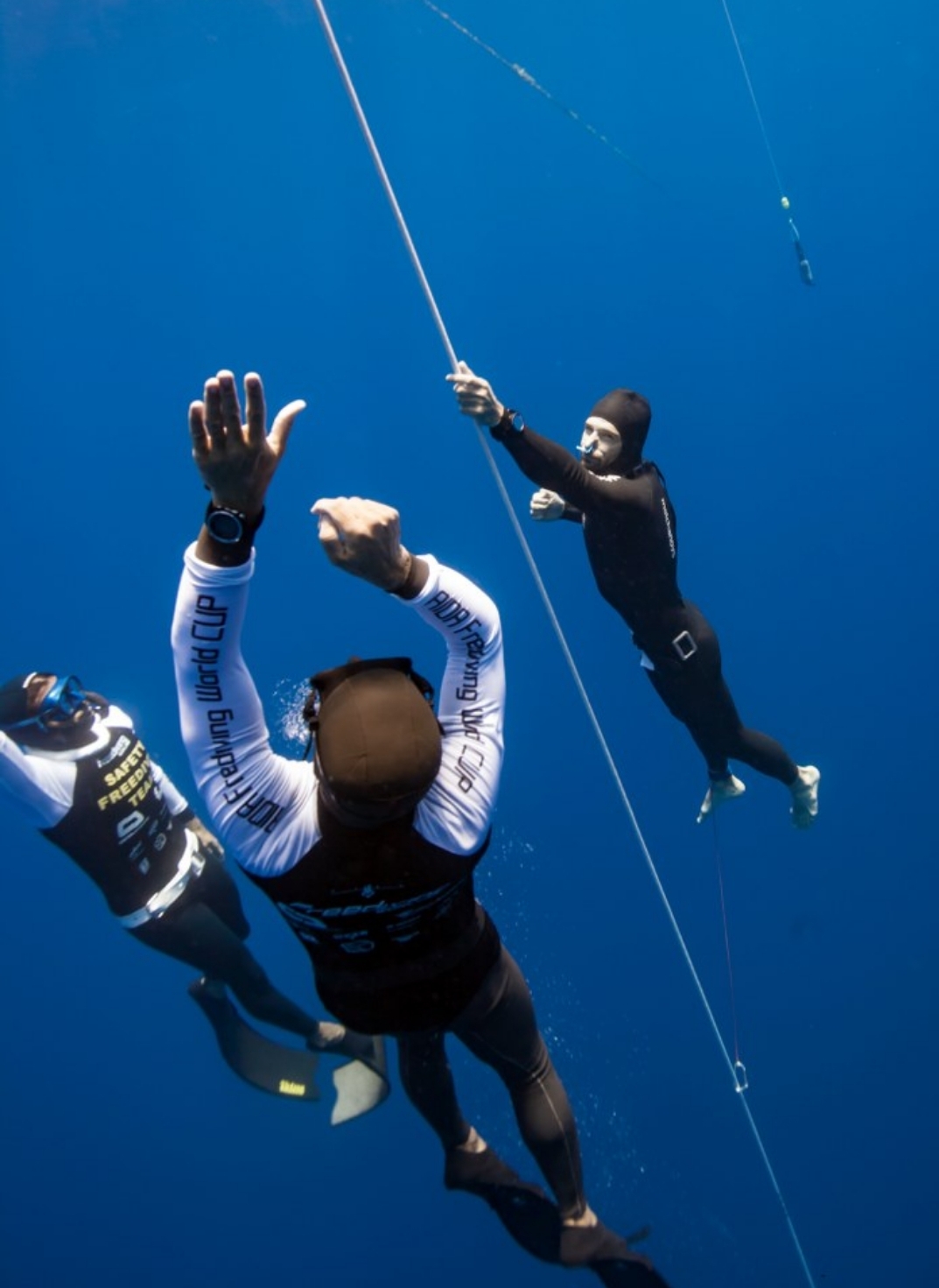 inbound2020838274002536242