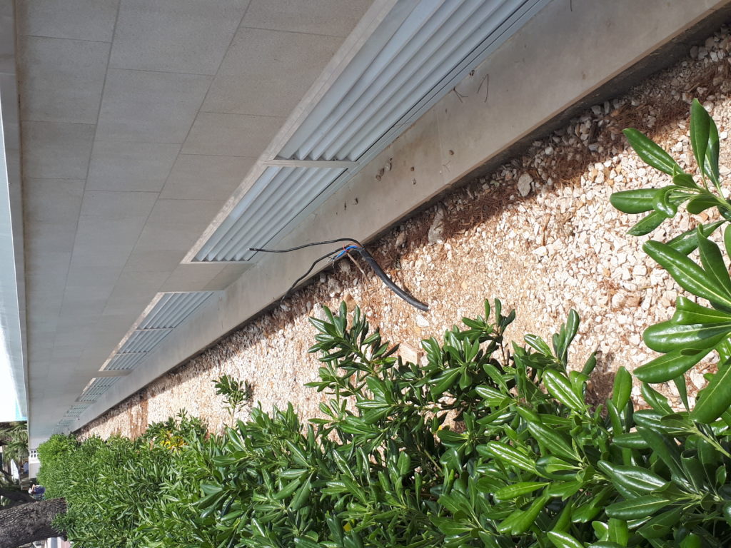 inbound2309865307585024250