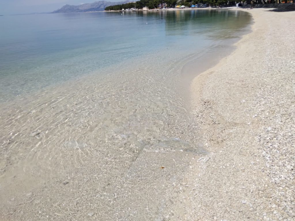 inbound3600071952011561798