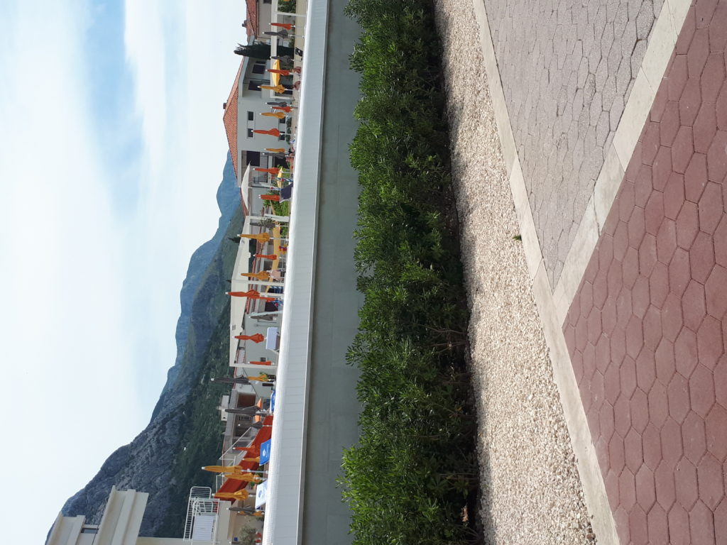 inbound5509114544333541532