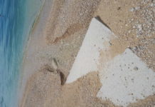 Nakon što je Valamar hotel napravio bazen, ‘potok’ teče u more!