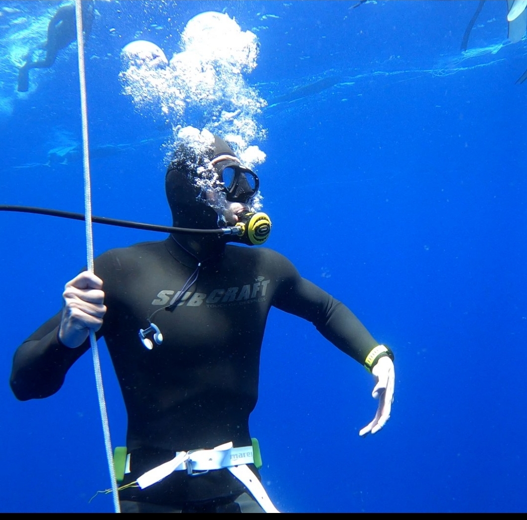 inbound8635124784003488057