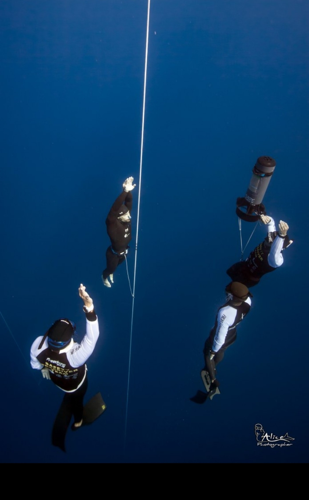 inbound8719662309653202193